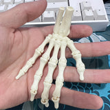 2-piece set - 3D Pprinted Hand Bone Ornaments, Halloween Decorations, 9.3 cm Long, Made of PLA Material, Can be used for decorat
