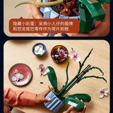 NNEOBA Orchid Building Blocks