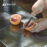 NNEOBA Stainless Steel Folding Table