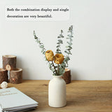 NNEOBA Set of 3 Ceramic Vases Rustic Farmhouse Decorative Beige