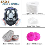 6800 Full Face Respirator Mask