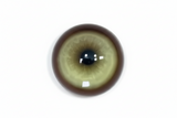 2-Piece Koi Fish Legend Colored Contact Lenses – Yellow Anime-Style
