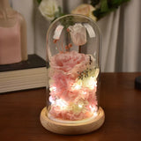 NNEOBA Preserved Rose in Glass Dome with Lights
