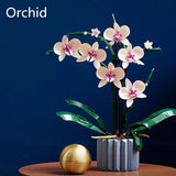 NNEOBA Orchid Building Blocks