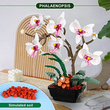 NNEOBA Flowers Orchid Building blocks