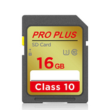 16GB Standard SD Memory Card Class 10 UHS-I High-Speed