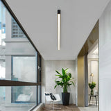 NNEOBA Modern Minimalist Narrow Long Balcony Ceiling Light for Bedroom