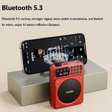 NNEOBA Dual Magnetic Speakers Digital FM Radio Red