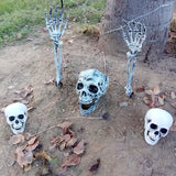 Halloween Skull Decoration, 20X16X15CM Halloween Skull Decoration,Realistic Plastic Skull,Head Skeleton,Halloween Party Home Yard Decoration,Haunted House Horror Props