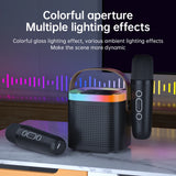 NNEOBA Portable Bluetooth Karaoke Speaker System with Microphones