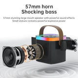 NNEOBA Portable Bluetooth Karaoke Speaker System with Microphones