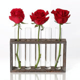 Minimalist Hydroponic Glass Vase With Wooden Frame For Coffee Shop Decor-1915198284557848577
