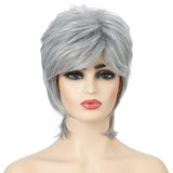 Silver Short Hair Wigs Set - Fluffy And Stylish-1915196859035553799