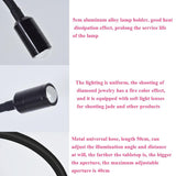 Adjustable Led Jewelry Table Lamp For Family Portraits-1915198111500865541