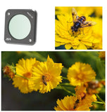 Nd8Pl Action Camera Filters For Dji Action 2-1915197034915303428