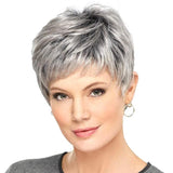 Short Straight Hair Wig - High Temp Fiber - Silver Gray-1915198133206388736