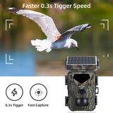 20Mp / 1080P Infrared Tracking Camera - No Screen No Keys-1915198313746010118