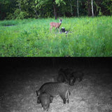Outdoor Hunting Camera With Infrared Night Vision - 2.7K Resolution-1915198347195584520