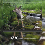 Outdoor Hunting Camera With Wifi900Pro For Remote Viewing Of Photos / Videos-1915198301263761413