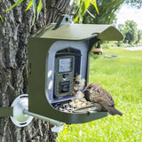 Outdoor Bird Watching Camera With Motion Sensor - Army Green Feeder-1922443390469935112