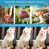 Waterproof Infrared Night Vision Camera For Outdoor Monitoring-1915196813007261700