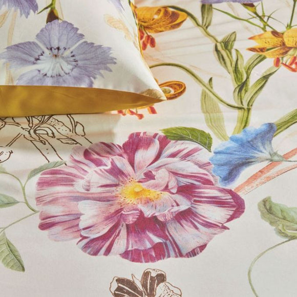 NNEDSZ Beau Cotton Sateen Multi Quilt Cover Sets by Bedding House King