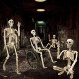Halloween Skeleton 36-Inch Skeleton Poseable Skeleton Halloween Decorations - White - Size 2 Pcs