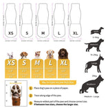 4PCS Dog Socks to Prevent Licking Paws for Hot/Cold Pavement | Puppy Boots & Paw Protectors for Hardwood Floors Anti Slip, Socks with Grippers Prevent Scratching for Senior Dog - Beige - Size M