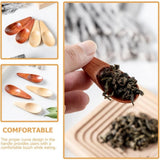 2pcs Small Wooden Spoon with Short Handle for Tea Coffee Seasoning Lightweight Wood Strong Comfortable Design No Cracks for Loose Tea Spices
