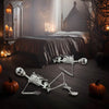 Life Size Skeleton, Halloween Skeleton Poseable Skeleton Full Body Human Bones with Movable Joints for Indoor Outdoor Halloween Props Decorations 70cm