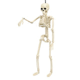 Halloween Movable Joint Skeleton Decoration, Life-Size Plastic Hanging Skeleton Prop for Halloween Party Decor White