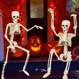 Halloween Movable Joint Skeleton Decoration, Life-Size Plastic Hanging Skeleton Prop for Halloween Party Decor White