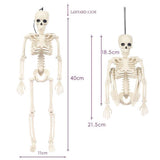 Halloween Movable Joint Skeleton Decoration, Life-Size Plastic Hanging Skeleton Prop for Halloween Party Decor White