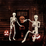 Halloween Movable Joint Skeleton Decoration, Life-Size Plastic Hanging Skeleton Prop for Halloween Party Decor White