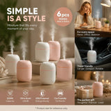 6 Pack Nordic Pink & Glacier White Humidifier Mixed Pack