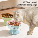 Anti-Gulp Elevated Cat Bowl 180g Ceramic Slow Feeder Paw Print Sunny Yellow Tall Stem 200ml Tilted Design for Home