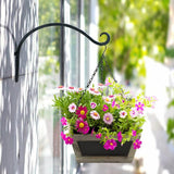 2 Pack Iron Hanging Plant Holder, Simple Wall Plant Hanger