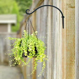 2 Pack Iron Hanging Plant Holder, Simple Wall Plant Hanger