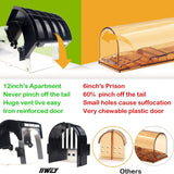 2 Pack Humane Mouse Traps, No Kill Rat Live Traps Catch and Release for Chipmunks, Reusable Pet and Children Friendly, Black, 12 Inches