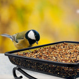 Ground Bird Feeder Tray, Metal Mesh Platform Seed Tray for Wild Birds, Doves, Squirrels, Garden Yard Decoration, 1 Pack