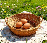 6 PCS Wooden Fake Eggs Dummy Eggs for Nesting Box, Help Laying Hen Poultry Nesting Tool