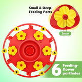 Plastic Hummingbird Feeder, Ant and Bee Proof, Outdoor Hanging, 23 OZ