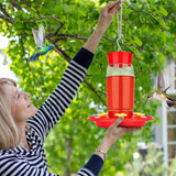 Plastic Hummingbird Feeder, Ant and Bee Proof, Outdoor Hanging, 23 OZ