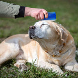 4 Pcs Flea Combs for Dogs and Cats, Stainless Steel Fine Tooth Pet Grooming Comb Set for Lice and Tear Stain Removal, Blue