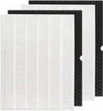2 + 2 116130 HEPA Replacement Filter H 116130 for Winix 5500-2 Plasmawave Air Purifier and Models AM80 - HEPA Filter and Activated Carbon Filter Combo Pack