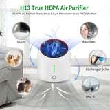 Quiet Air Purifier for Smoking Room, Apartment Room Air Filter