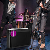 Portable Bluetooth 5.3 Speaker with 2 Wireless Microphones Home Karaoke Speaker Machine Black