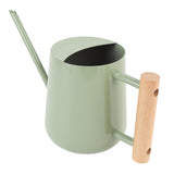 Watering Can Stainless Steel Watering Pot with Wooden Handle for Succulents Plant Type 2