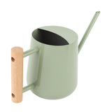 Watering Can Stainless Steel Watering Pot with Wooden Handle for Succulents Plant Type 2
