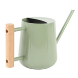 Watering Can Stainless Steel Watering Pot with Wooden Handle for Succulents Plant Type 2